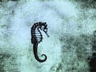 Picture for song 'Pure Answers' by artist 'ManoSala'