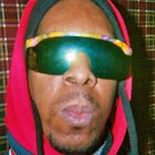 Picture for song '04 YBRINGAHBABY.mp3' by artist 'MAXIMUM RAPPADELIC'