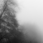 Picture for song 'Morning Gift' by artist 'Max Qubit'