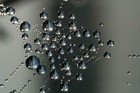 Picture for song 'Piano solo - Rain' by artist 'Melodic Euphoria'