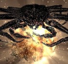 Picture for song 'March of the Flying Crabs' by artist 'Melting Paper Snowflakes'