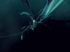 Picture for song 'Bust to trust' by artist 'Metalloids'