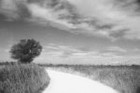 Picture for song 'Leaving This Town' by artist 'MG Frisbey'