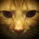 Picture for song 'Sharing Karma' by artist 'MGJams'