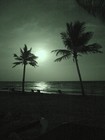 Picture for song 'CARIBBEAN MOON' by artist 'MichiSongs'
