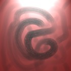 Picture for song 'WTF' by artist 'MightyJuice'