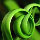 Picture for song '86 Sloops' by artist 'Mikejazz'