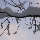 Picture for song 'mellifluously' by artist 'MikeSch'