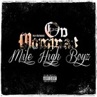 Picture for song 'On Mommas prod. by: iDBeatz Productions' by artist 'Mile High Boyz'