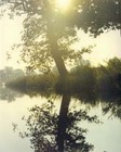 Picture for song 'aNarrowMiss Theme' by artist 'Mile High Music'