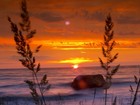 Picture for song 'Expression - Free DL!' by artist 'MK12-Productions'