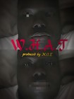 Picture for song 'W.H.A.T' by artist 'MOE U DID IT AGAIN'