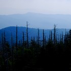 Picture for song 'Foggy Mountain top' by artist 'mojohand40'