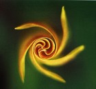 Picture for song 'Autonomous Zone' by artist 'Morbid Erection'