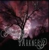 Picture for song 'Shrubbery of Darkness' by artist 'Morganstudios'
