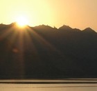 cover pic
