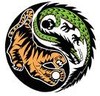 Picture for song 'The Shaolin' by artist 'MORTAL KONTAKT'