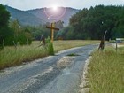 Picture for song 'A Cowboy's Life' by artist 'Mountain Road Music'