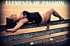 Picture for song 'Elements Of Passion | FREE DL' by artist 'Mr.Kooman'