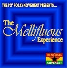 Picture for song 'Twurkaholixxx' by artist 'Mr Mamaboobu'