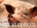 Picture for song 'She Needs Love' by artist 'MUDDPIGGS'