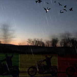 Picture for song 'Heart Broke & Riding' by artist 'Zonic-viruZ'