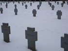 Picture for song 'sickness of war' by artist 'My Sadistic Requiem'