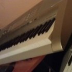 Picture for song '**NEW** Deep Rooted (West Coast)' by artist 'MythZerO'