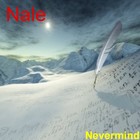 Picture for song 'Nevermind' by artist 'Nale'