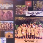 Picture for song 'Ncee core' by artist 'Naro Choir of D'kar'