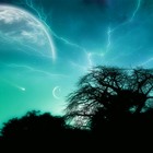 Picture for song 'Loud Night' by artist 'Nate Wing'