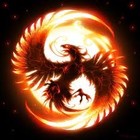 Picture for song 'Phoenix Rebellion' by artist 'Naved Kool'