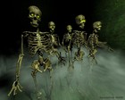 Picture for song 'in the form of an army' by artist 'neon one'