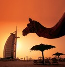 Picture for song 'Arabian Beat' by artist 'Nepz YBT PRODUCTION'