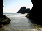 Picture for song 'UP THE RIVER' by artist 'New Jazz Movement'