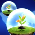 Picture for song 'Bird in Flight' by artist 'Nils-Ole Finbak'