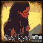 Picture for song '96' Baby' by artist 'Nitroseiv'