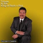 Picture for song 'Tribute to the King of Rock n Roll' by artist 'Norbert Castro'