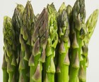Picture for song 'Asparagus' by artist 'Not Quite There Yet'