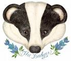 Picture for song 'The Stagsden Badger' by artist 'Noxon'