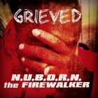 Picture for song '04 Do It mix' by artist 'NUBORN the FIREWALKER'
