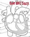Picture for song 'What's Worth It?' by artist 'One Hot Suzy'