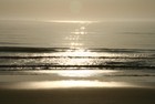 Picture for song 'Hippopotamus' by artist 'on my own'