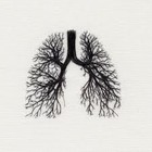 Picture for song 'Breathe' by artist 'Opera House Productionz'