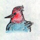 Picture for song 'chickens_of_klingon(DJX-II)' by artist 'Osmotic Tendencies'