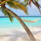 Picture for song 'summer time 30$SL/60$PL' by artist 'Outsiders Rechertz'