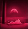 Picture for song 'The Part of the Dream' by artist 'Paduc'