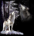 Picture for song 'The Travler2.MP3' by artist 'Pat Sharkey(US)'