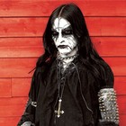 Picture for song 'Golden Fjord 2.0' by artist 'Penguin Bomb'