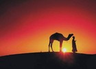 Picture for song 'Caricias del Desierto' by artist 'Pepe Acevedo'
